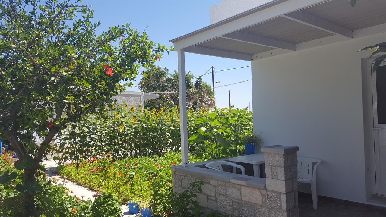 Eleni Studios Kefalos  Exterior photo